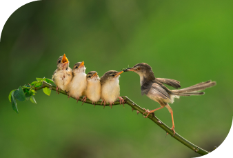 永續發展 創新加值