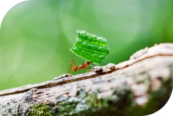 數位轉型 降低碳排