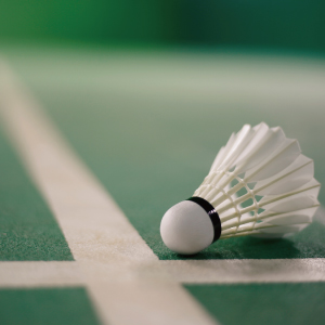 「羽毛球」非屬「球」 海關籲正確申報「羽毛球」稅則號別第 9506.99.00號